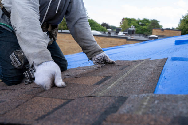 Best Metal Roofing Contractor  in Cartersville, GA