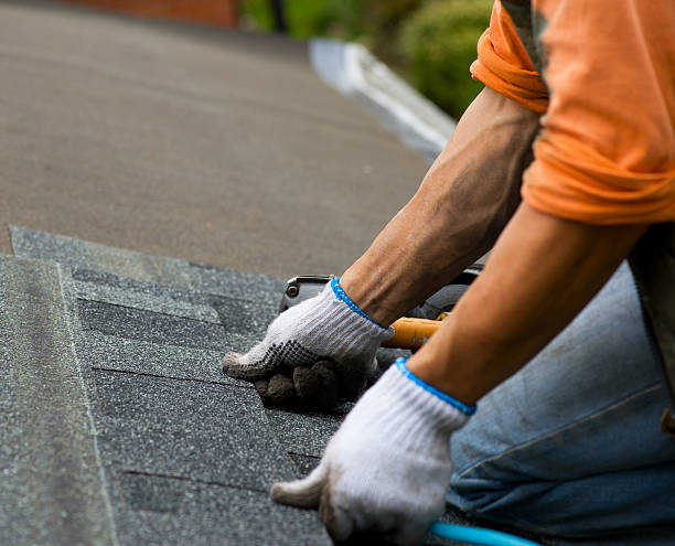 Best Roof Gutter Cleaning  in Cartersville, GA